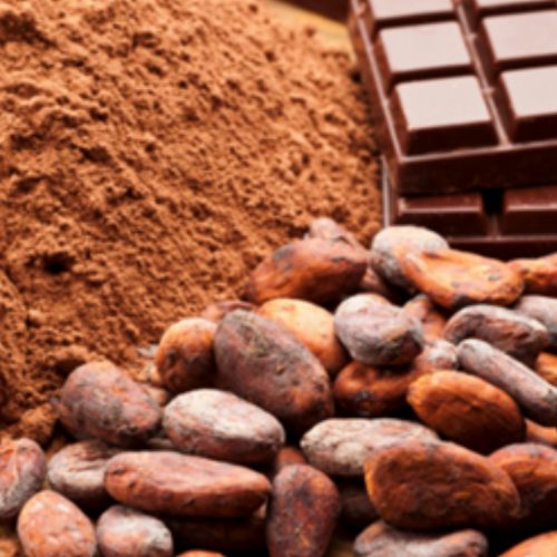 Cocoa The Superfood Eona Organic